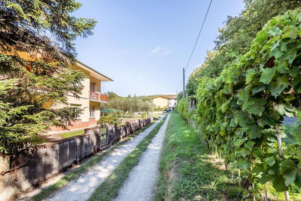 Appartamento Poggio Del Sole Λούκα Εξωτερικό φωτογραφία